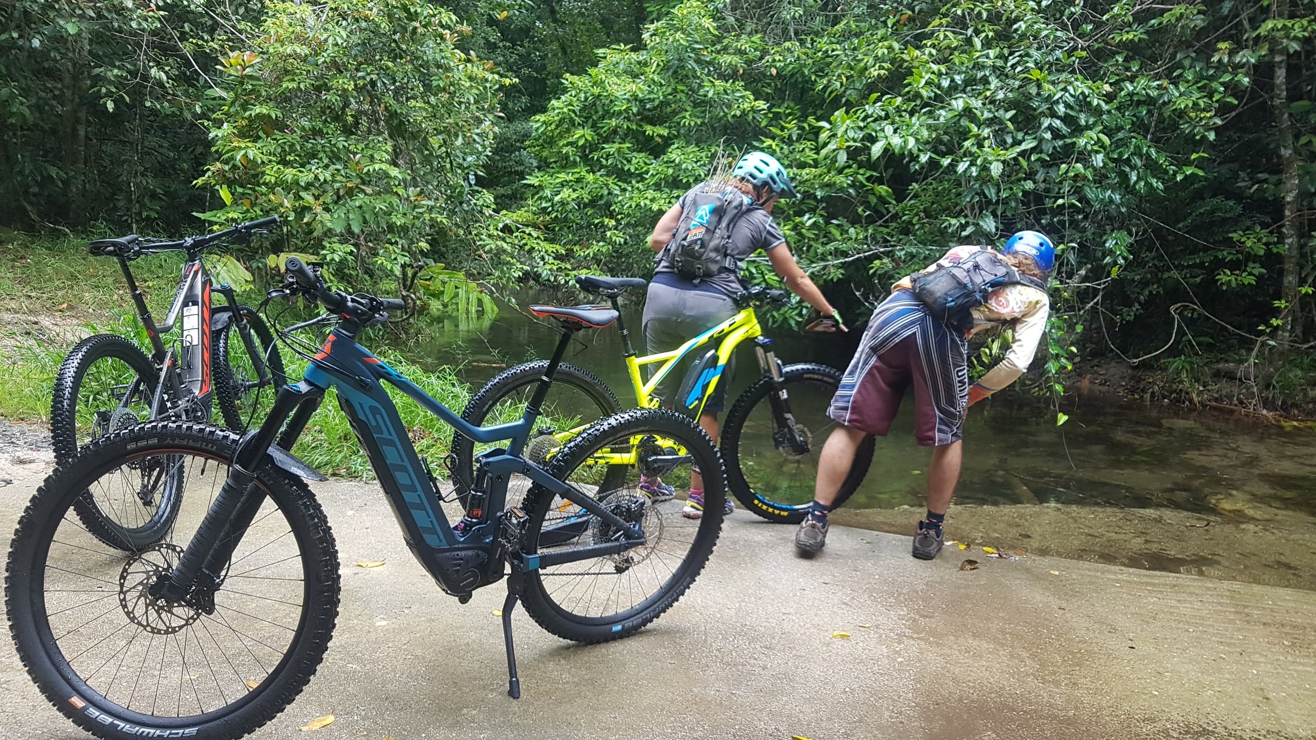 Mountain Biking & Rainforest Wildlife Tour at Mount Lewis