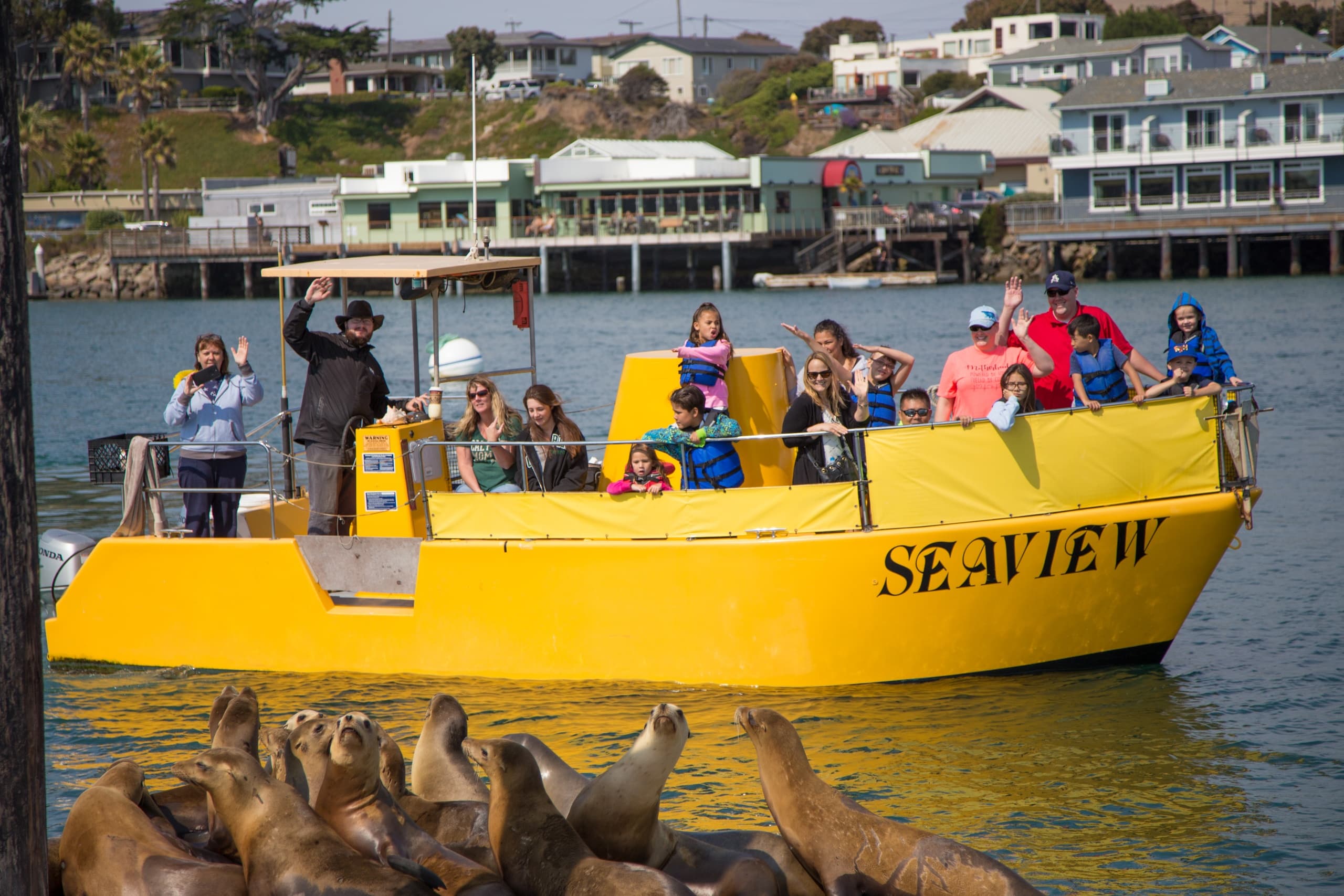 Explore Morro Bay with Sub Sea Tours