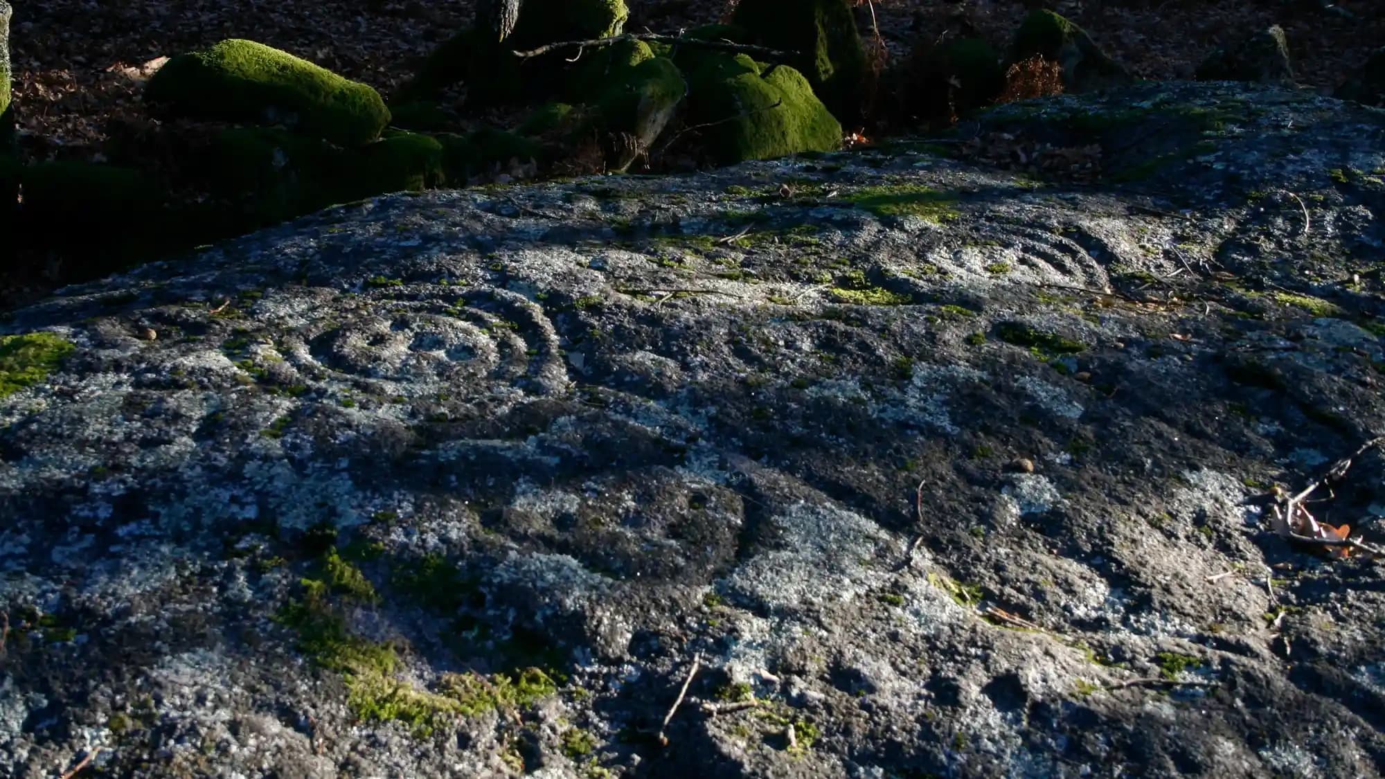 Prehistory in Lima Valley | Guided Tour in Lima | History Tour, Attraction photo 1