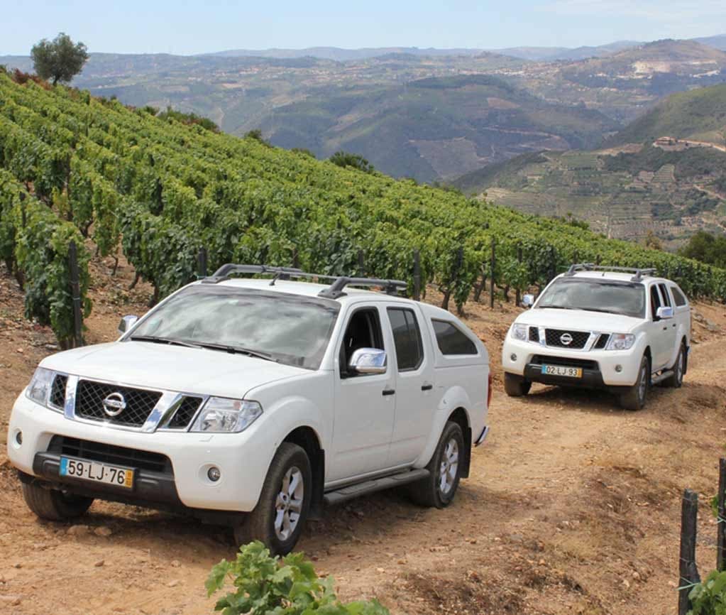 Land Adventures at Naturimont in Douro Valley