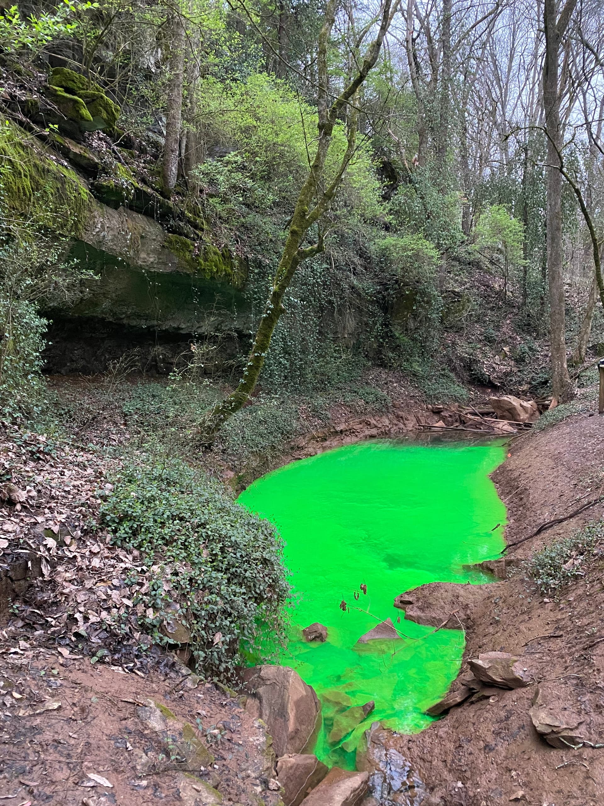 Discover the Science and Magic of Dye Tracing at Lost River Cave in Bowling Green, Kentucky