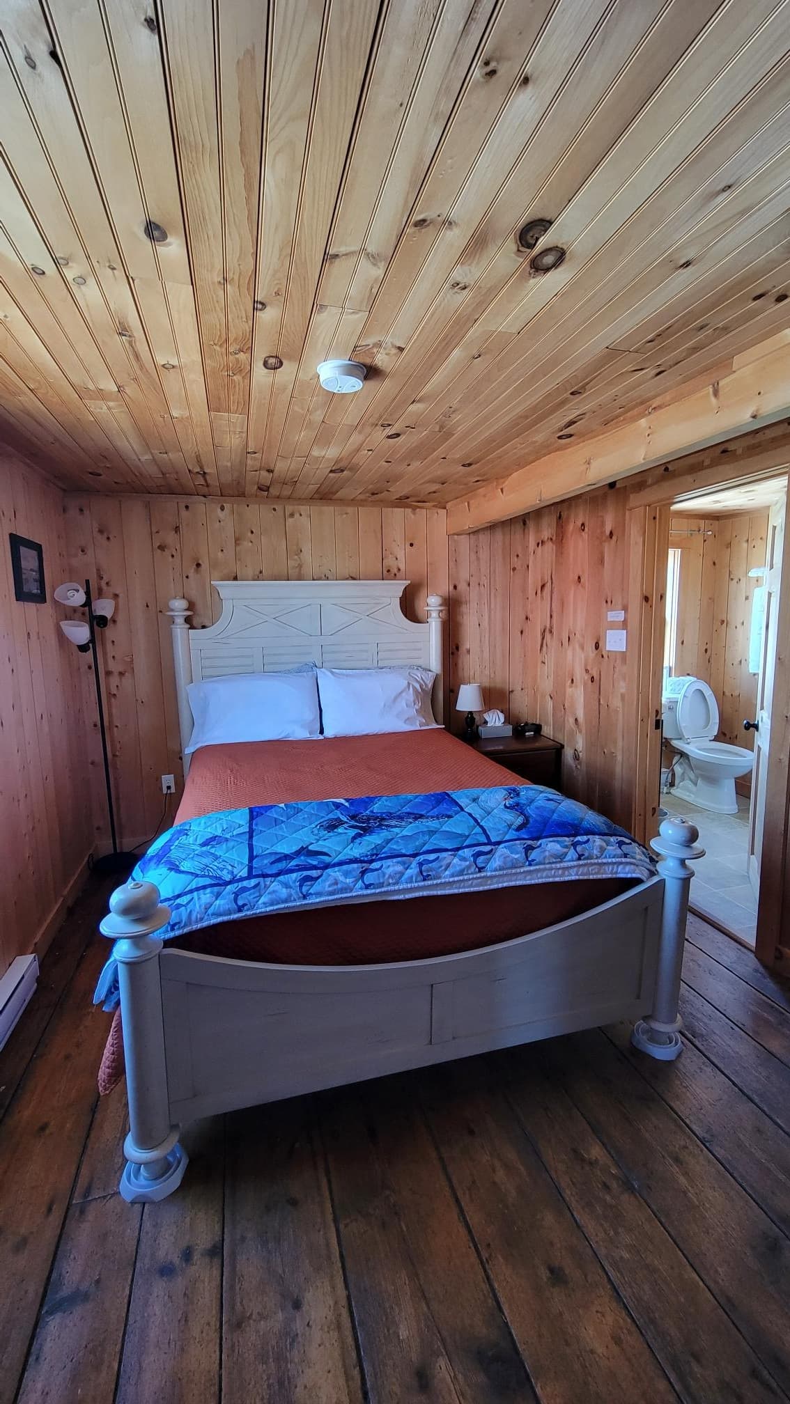 Wildlife & Comfort at Trinity Eco-Tours' Humpback Room, Trinity Bay