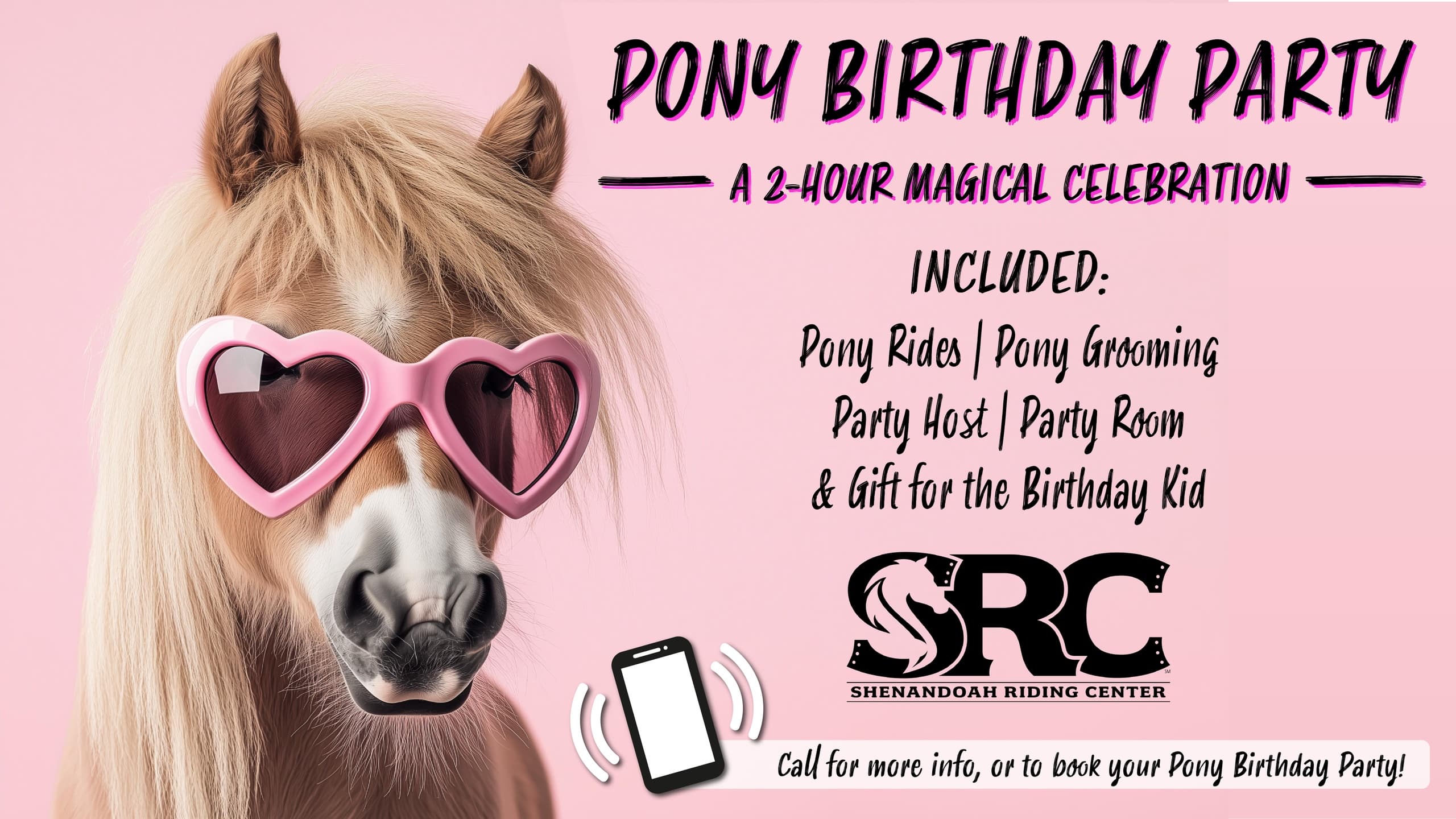 Pony Birthday Party Fun in Galena, Illinois