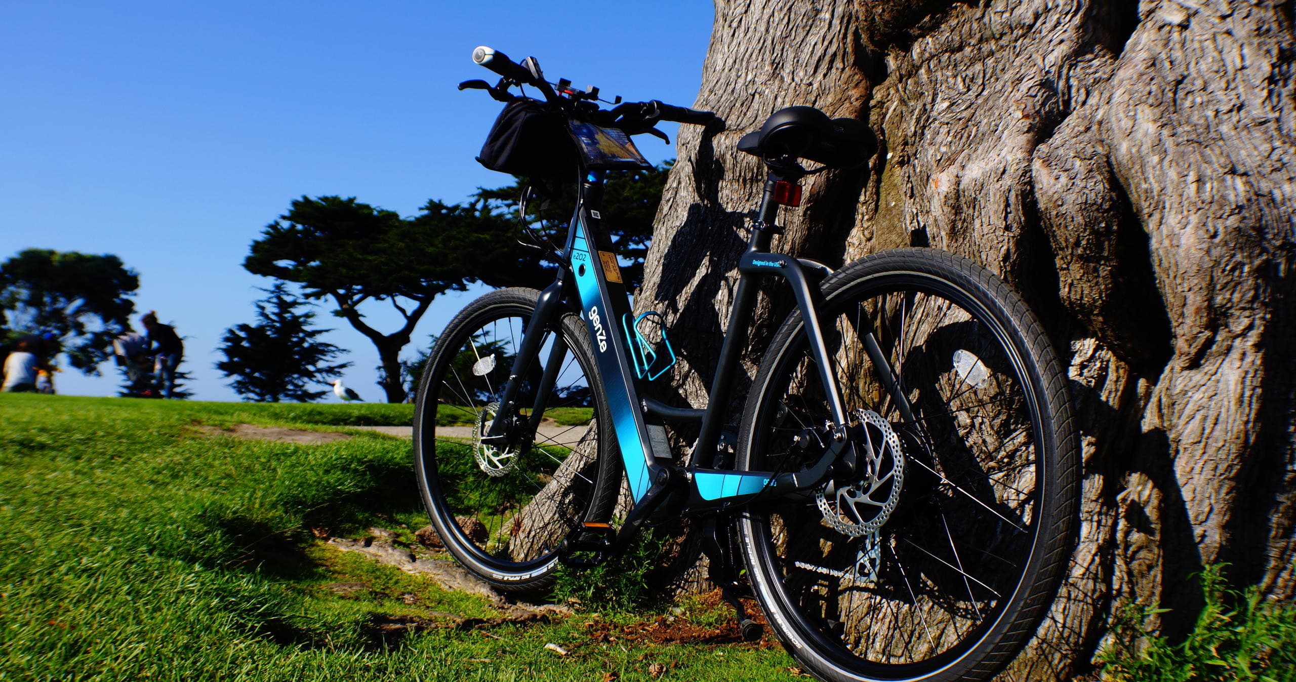 Mountain bikes leaning by tree on grassy coastal trail