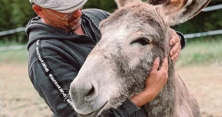 Farm & Family Adventure at Brittany Guided Farm Tour