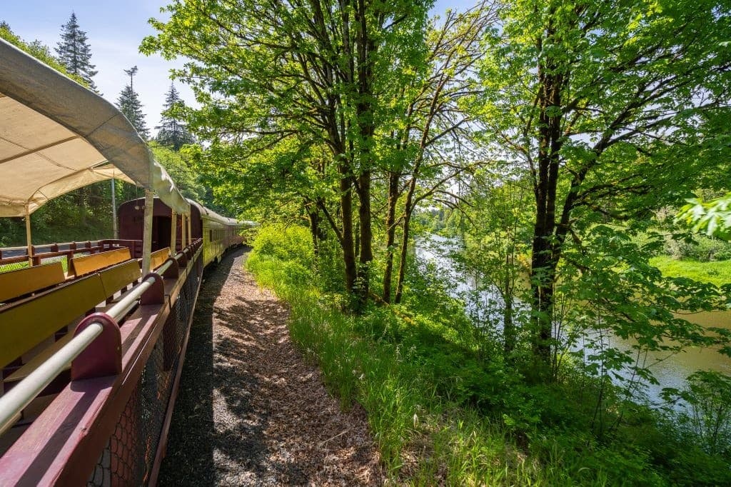 Chehalis River Valley Father’s Day BBQ Train Ride: Two-Hour Scenic Excursion Aboard a 1920s Dining Car photo 4
