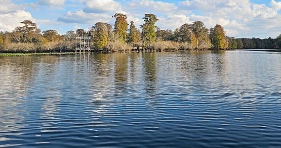 Kayaking with Downstream Kayak Rentals in Largo, Florida