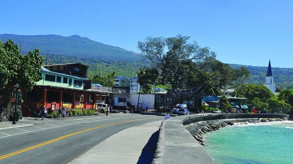 Kona Cruise Day Excursion: Coffee, Culture and the Kona Coast photo 2
