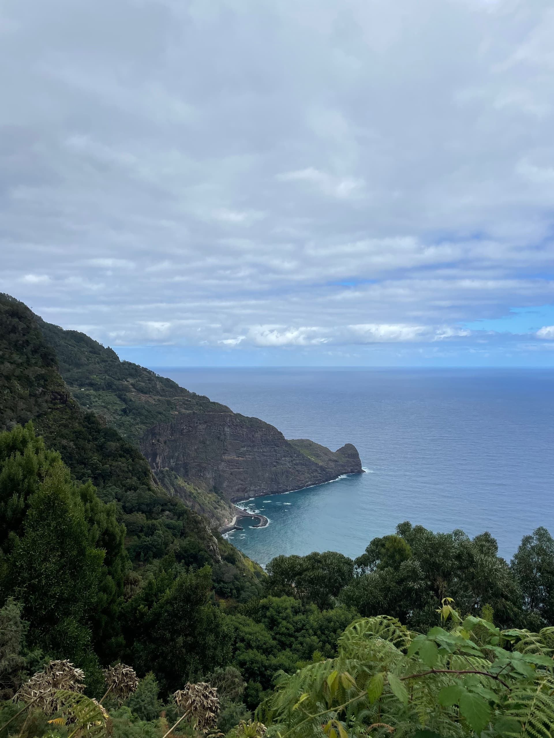 Private Tours in Madeira: Tailor-Made 4x4, Laurissilva & Coastal Highlights photo 4