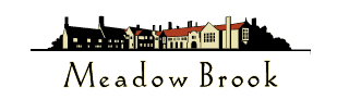 Midnight Masquerade Murder Dinner at Meadow Brook — Immersive Mystery Night in Rochester, MI photo 1