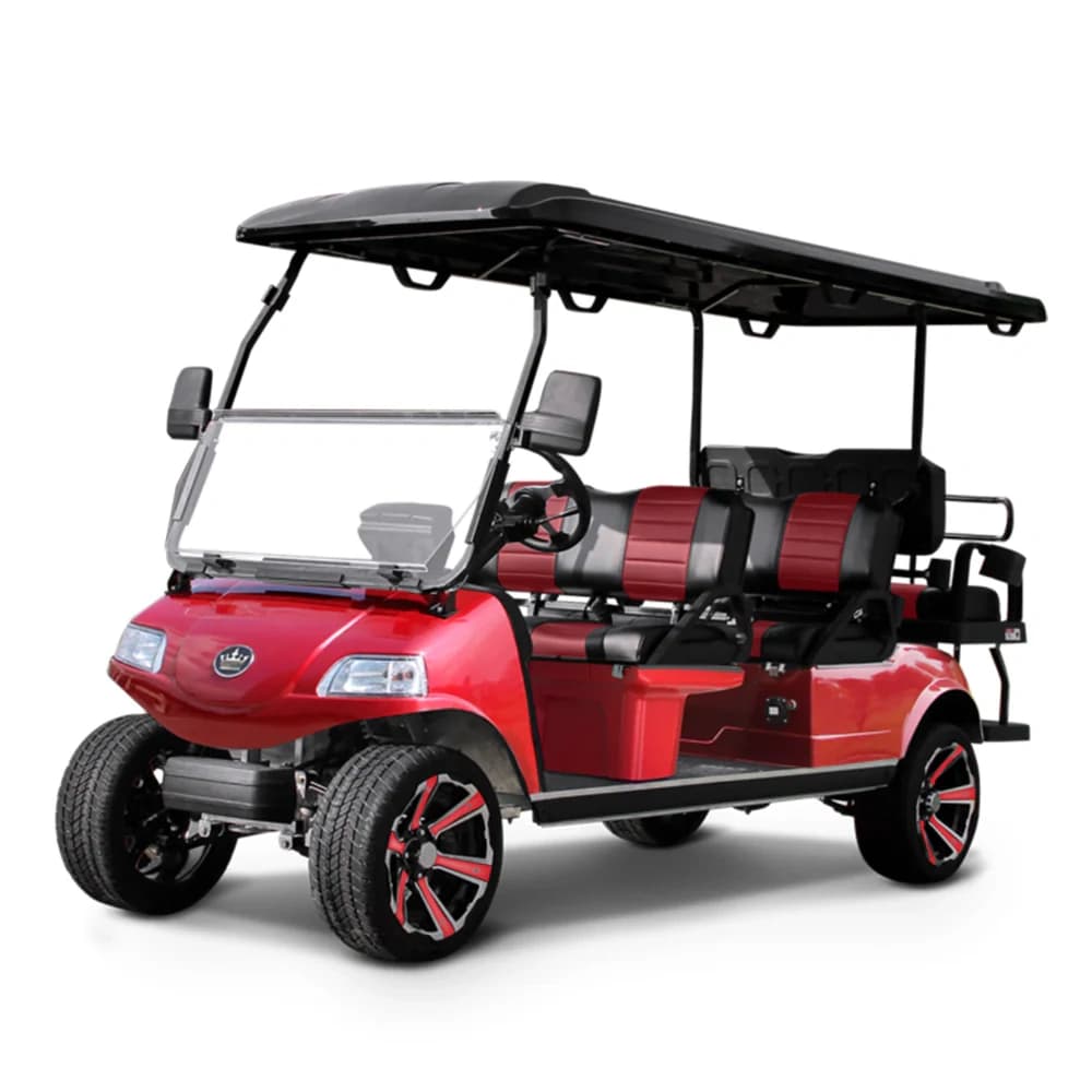 BI Golf Cart Rentals fleet