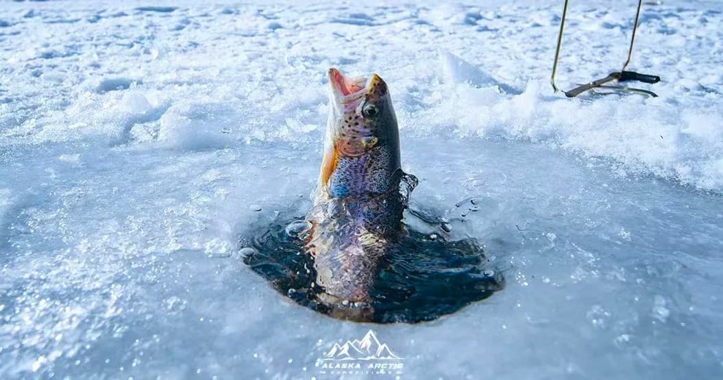Ice Fishing Adventure in Fairbanks: Catch Salmon and Trout on a Guided Alaska Winter Tour