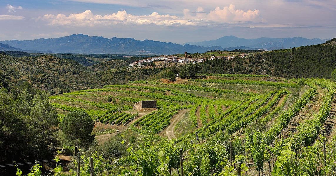 Priorat Wine Day Trip with Spanish Trails from Barcelona