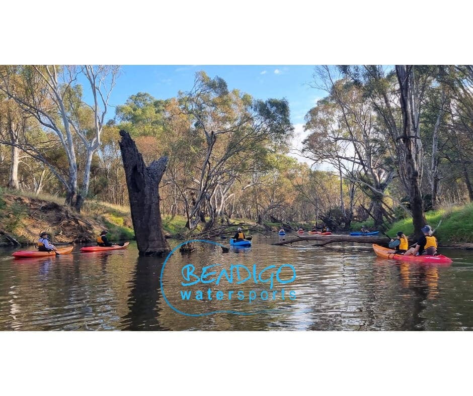 Paddle Serpentine Creek: 8km through Durham Ox’s River Red Gums and Birdlife