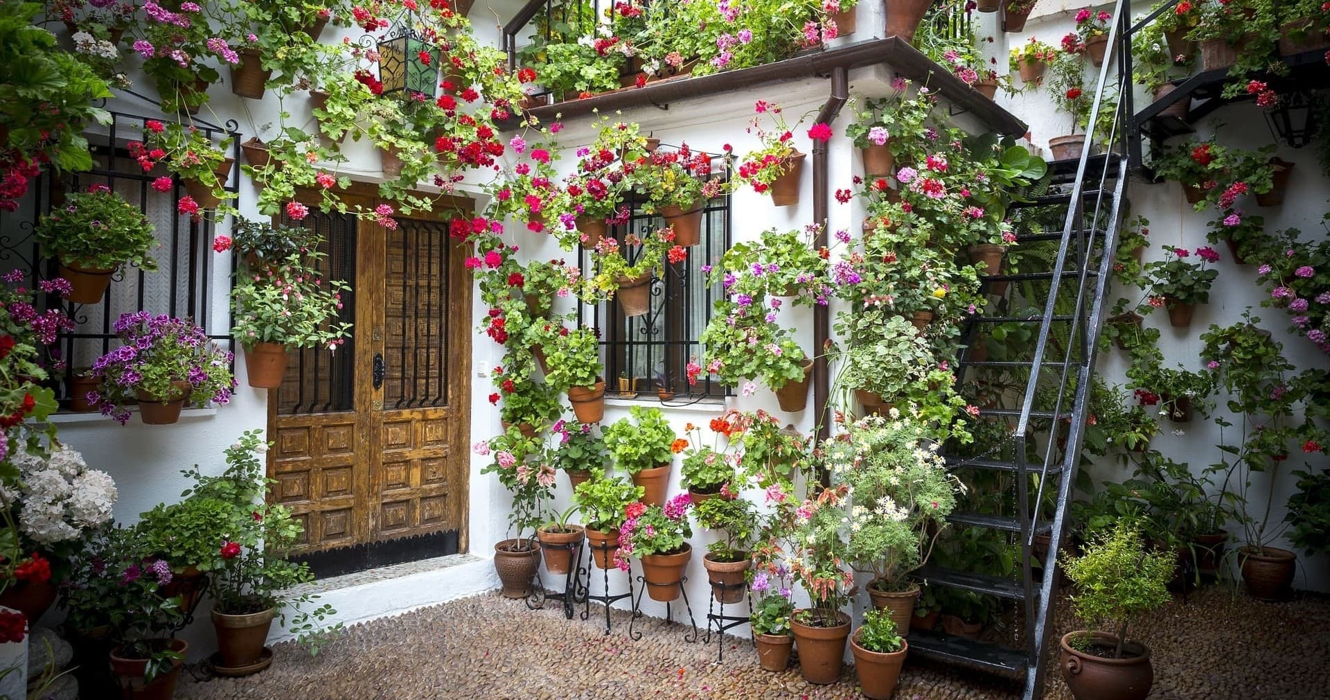 Guided Tour of Córdoba’s Patios with Eventour Córdoba