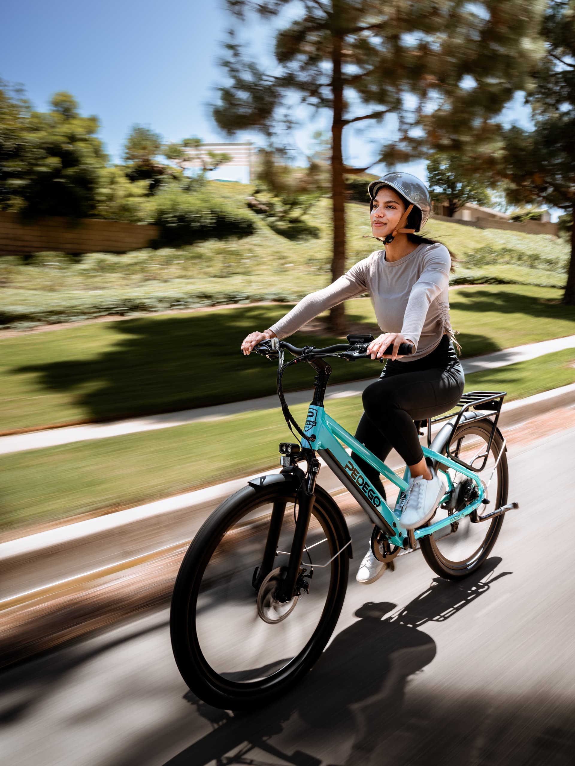 Pedego Electric Bikes Greenville: 3-Hour Swamp Rabbit Ride