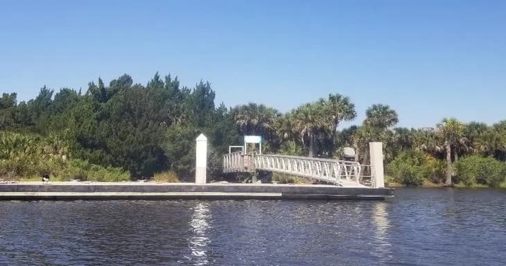 Scenic riverside dock and mangrove shoreline at sunny coastal inlet