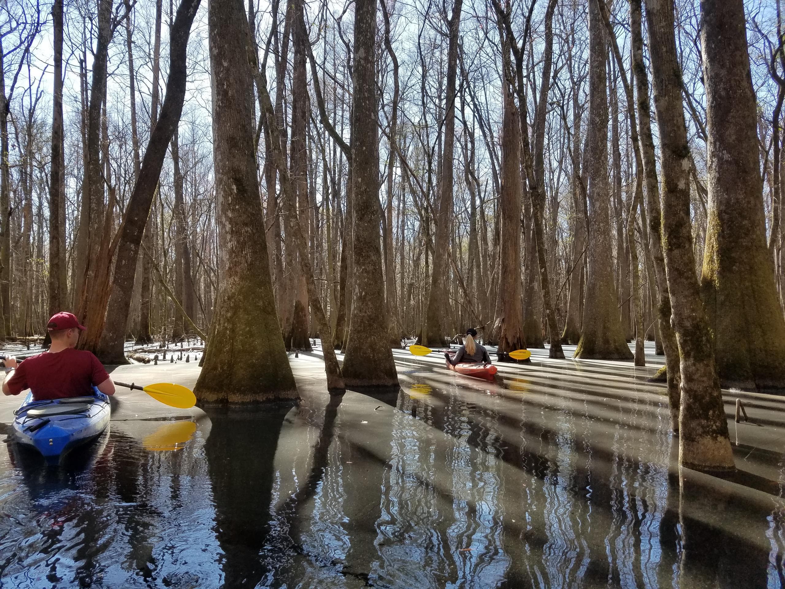Charleston Kayak Company fleet