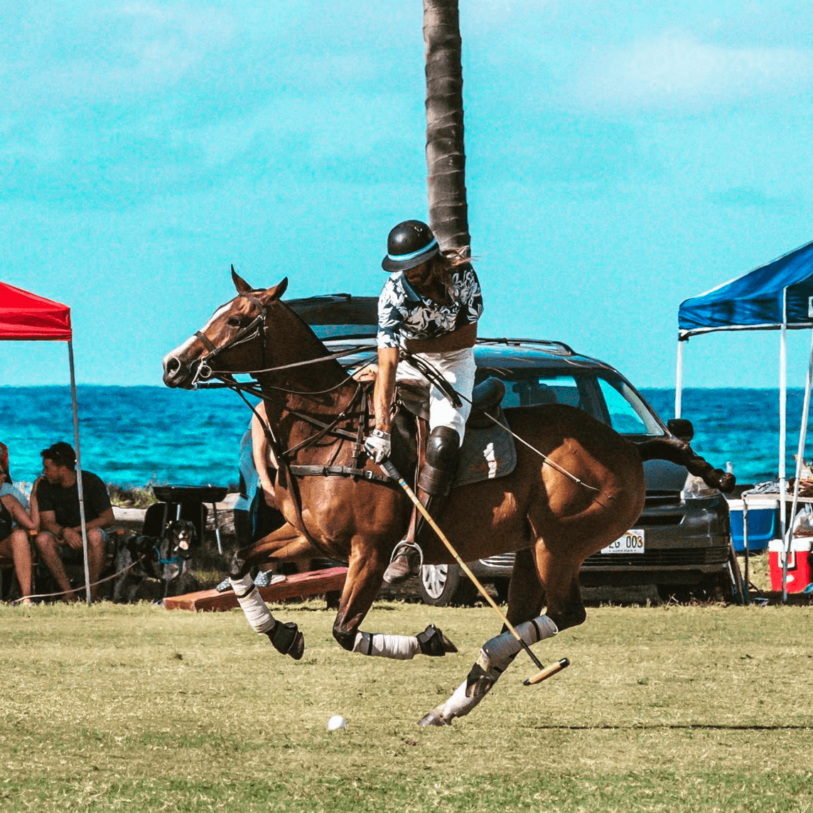 Land-Adventures: Hawaii Polo Trail Rides on North Shore