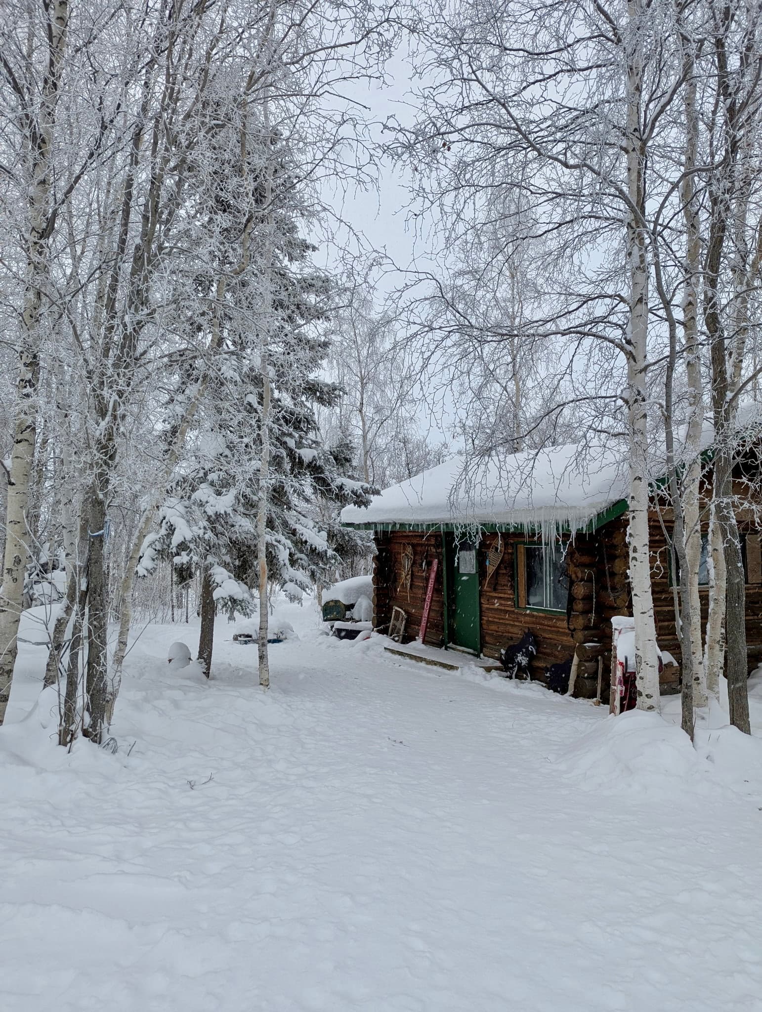 Snowshoeing Near Yellowknife: Gentle Guided Trails Through Boreal Winter photo 2