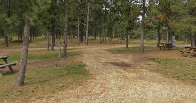 RV Camping in Nature at Mystic Hills Hideaway