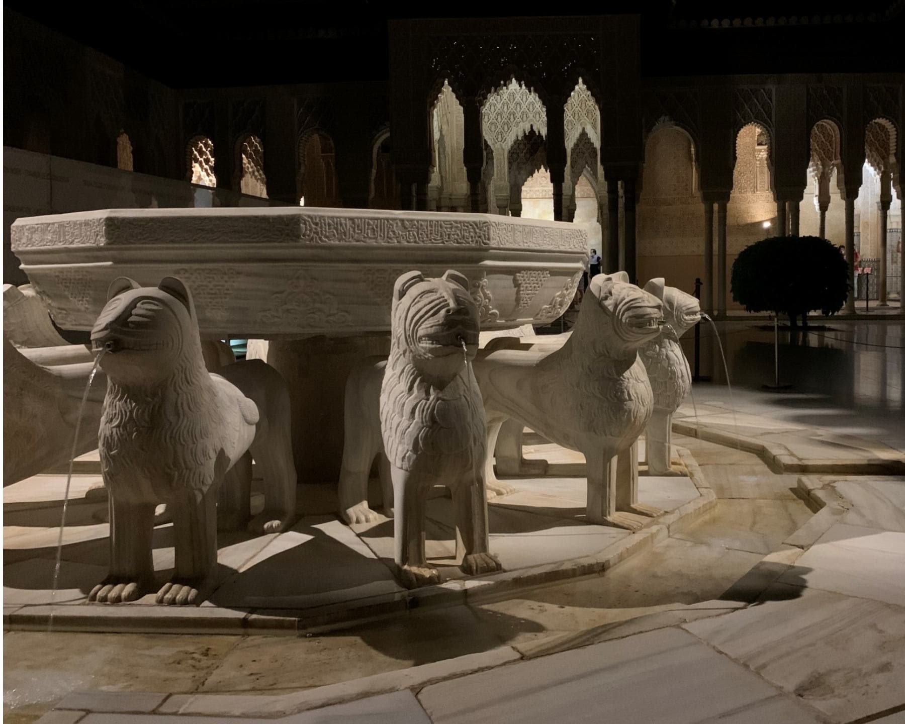 Night Tour of Palacios Nazaríes | Granada Turismo y Ocio