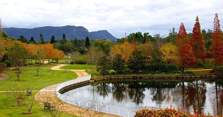 Helicopter Tours & Gourmet Lunch in Hunter Valley by Aero Logistics