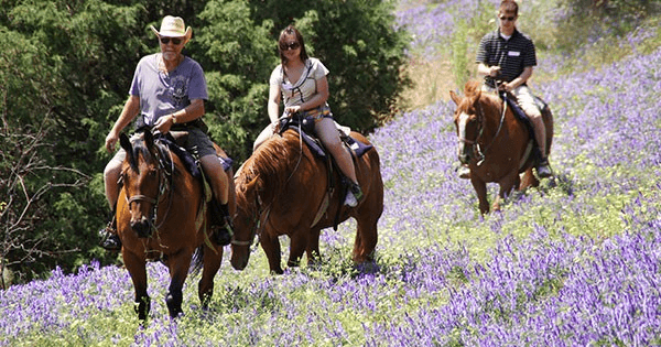 Okanagan Stables team
