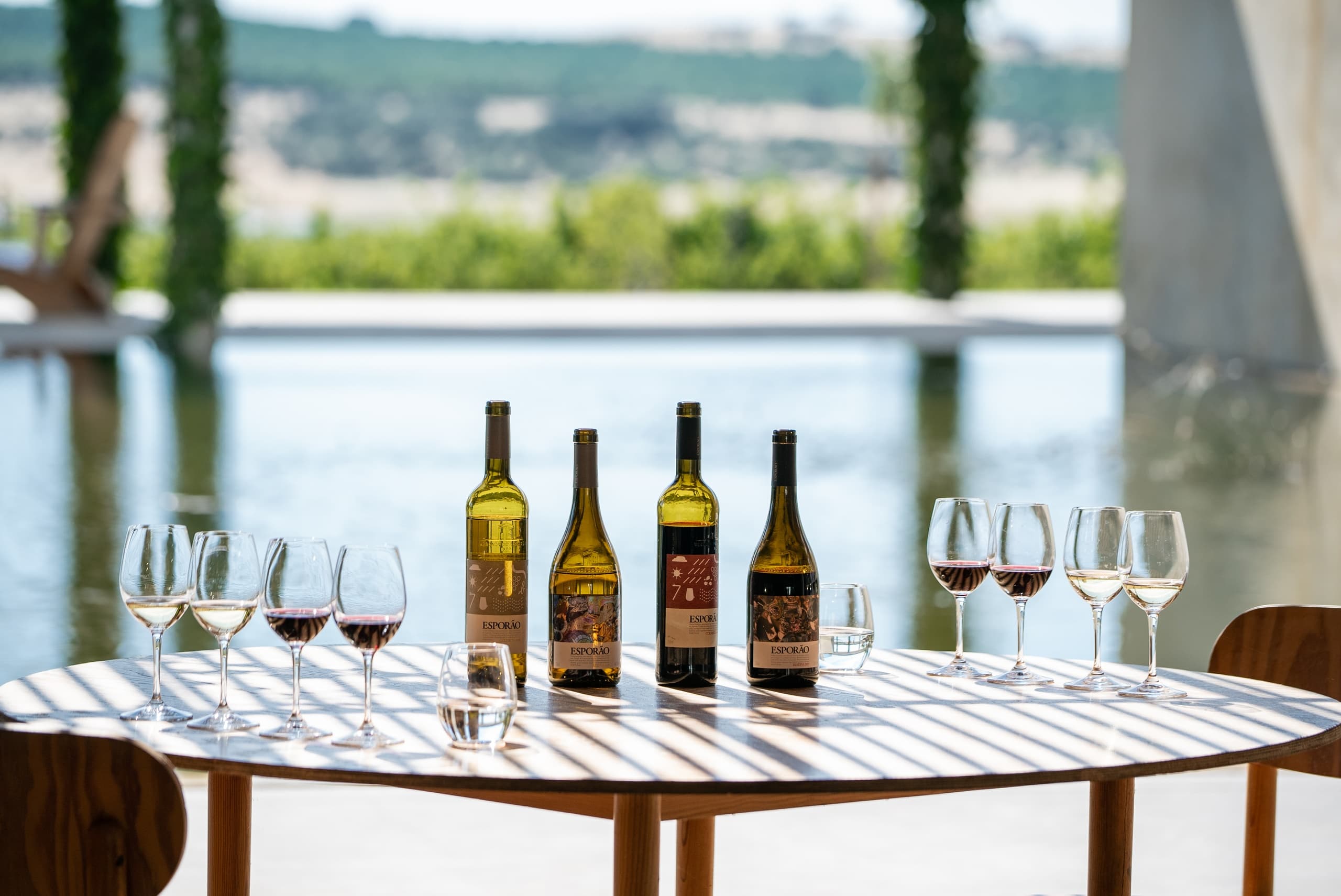 Wine bottles and glasses on terrace overlooking vineyard