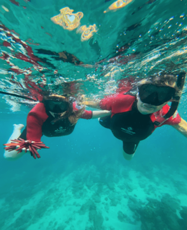 Beginner Snorkeling Adventure at Kapalua Bay, Lahaina