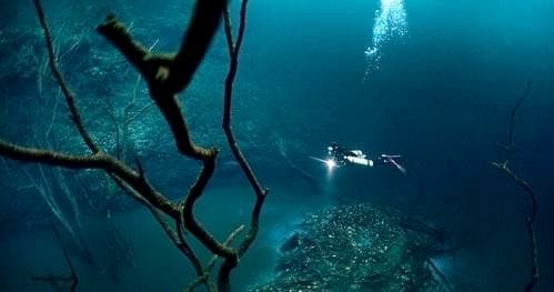 Dream Gates Cenote Dive: Explore Riviera Maya’s Underwater Caverns