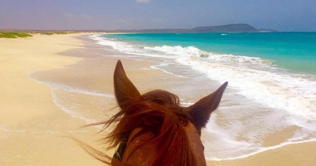 Horseback Adventures with Cabo Verde Tours in Santa Maria