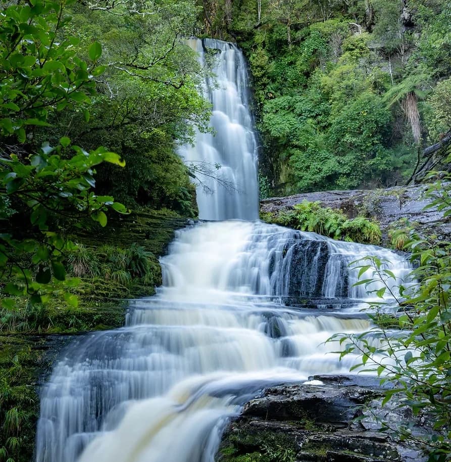 Catlins Tours: Beach, Bush & Waterfall Adventure