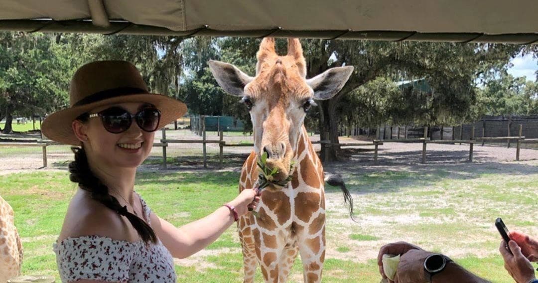 Drive-Thru Safari Adventure at Giraffe Ranch, Dade City
