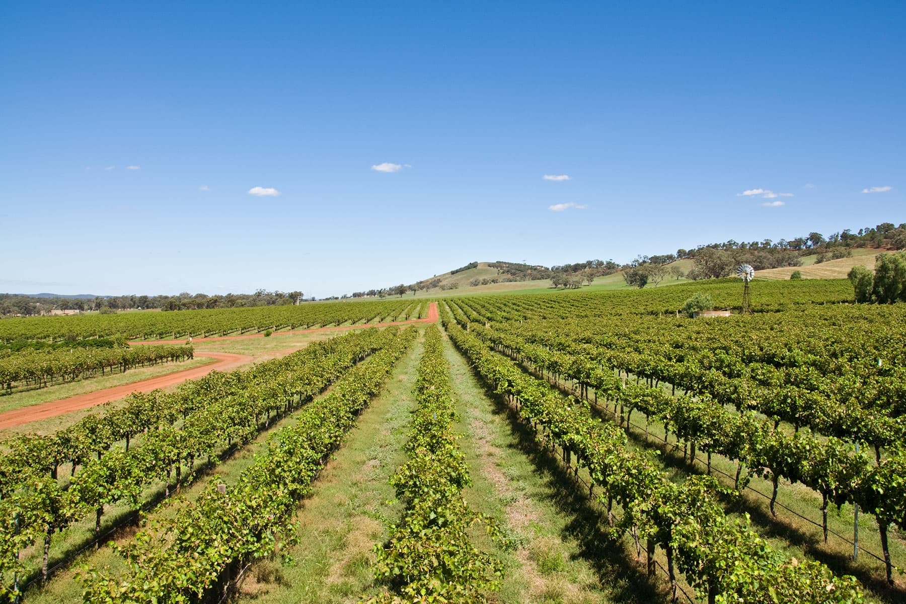 Land Adventures in Hunter Valley with Hunter Valley Small Group Tours