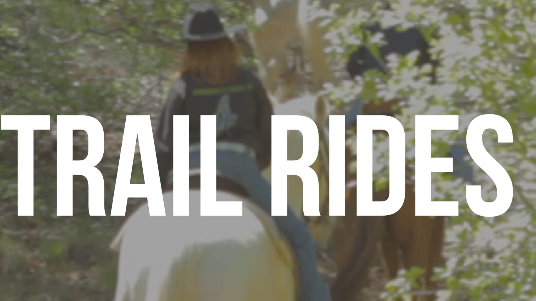 Trail Rides Near Dallas at RNR Stables