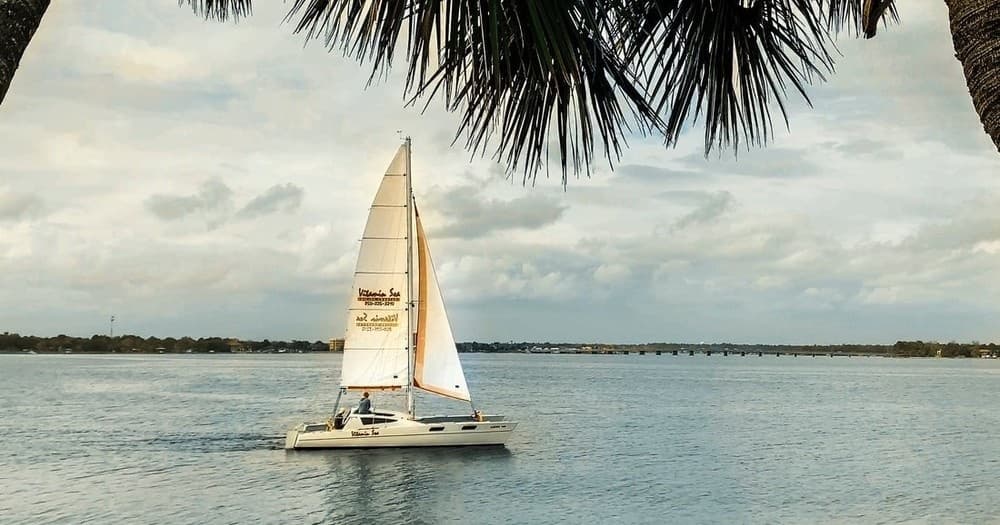 Sailboat cruising near shoreline framed by palm trees, coastal sail