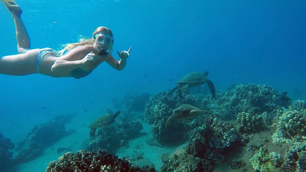 Guided Snorkel Tour in San Juan, Puerto Rico