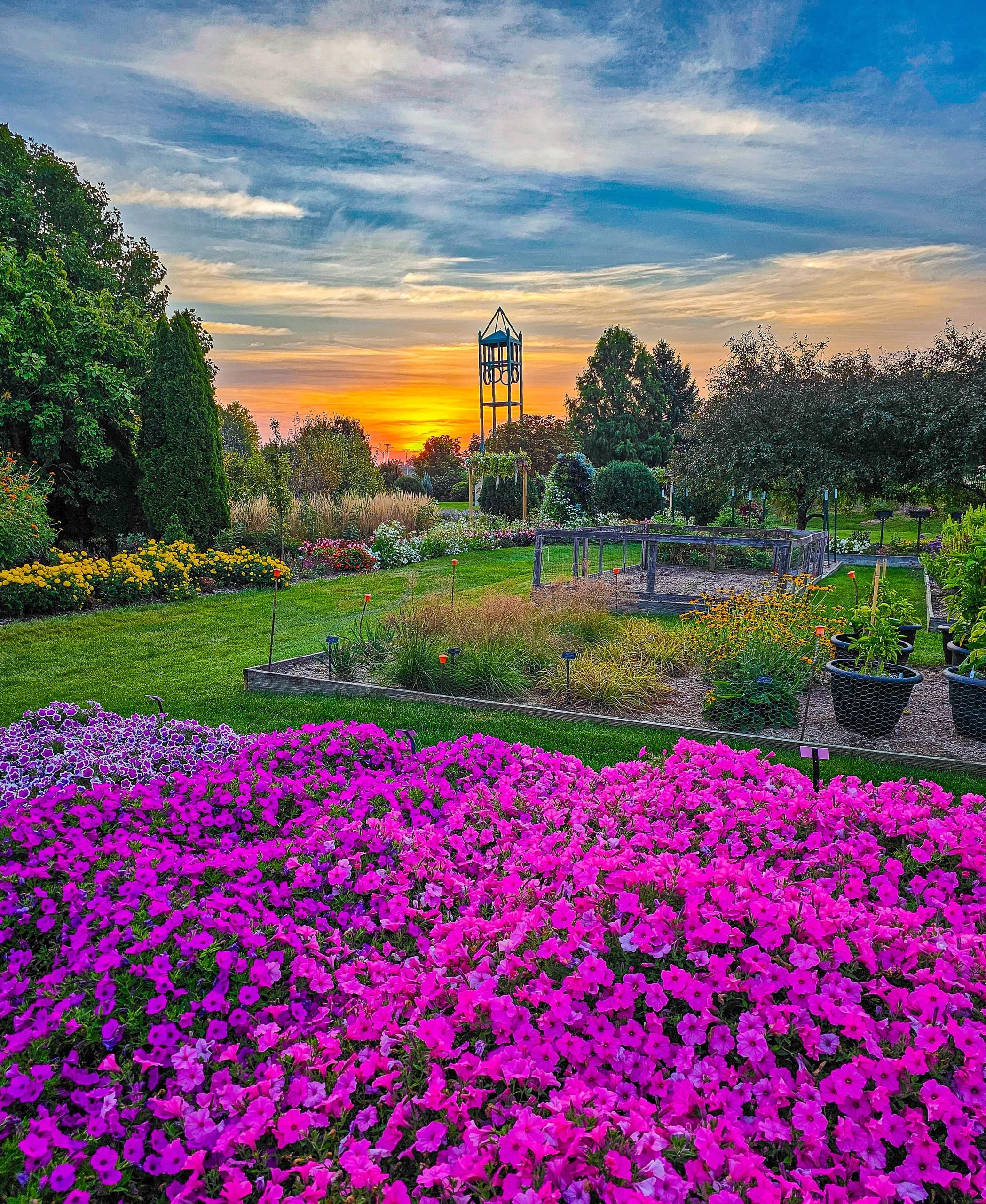 Golden-Hour Photography Workshop at Reiman Gardens — 3 Evenings in Ames