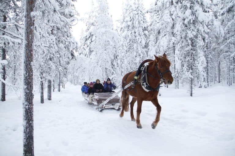Winter Land Adventures with Polar Lights Tours