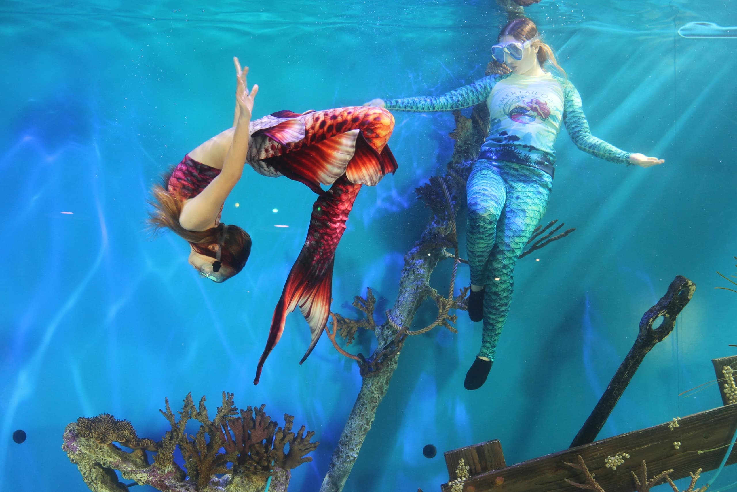 PADI Basic Mermaid Certification in Lecanto: Learn Mermaiding at Mertailor’s Aquarium