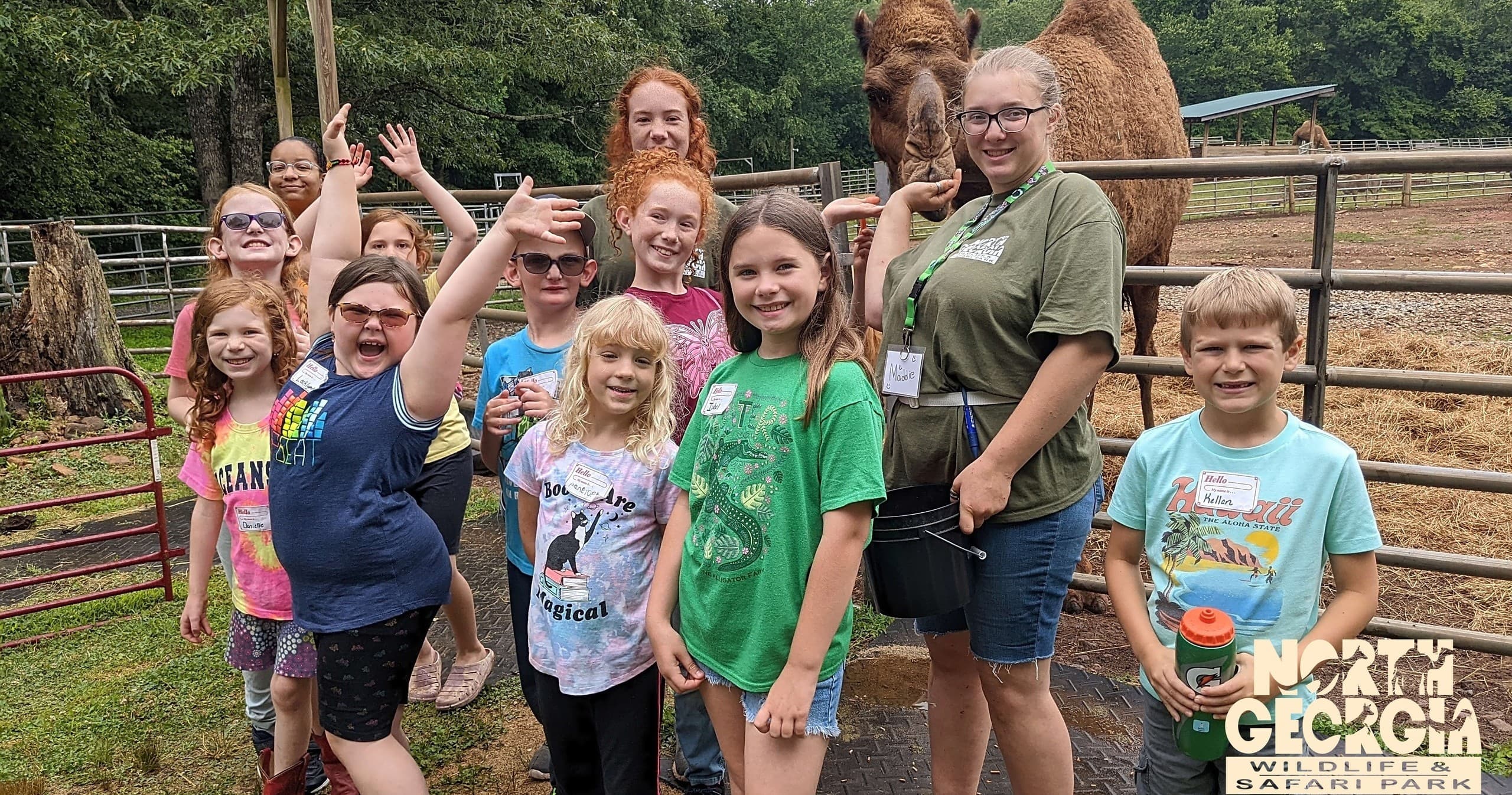 Tadpole Zookeeper Camp: Hands-On Wildlife Adventure for Kids in Cleveland, Georgia