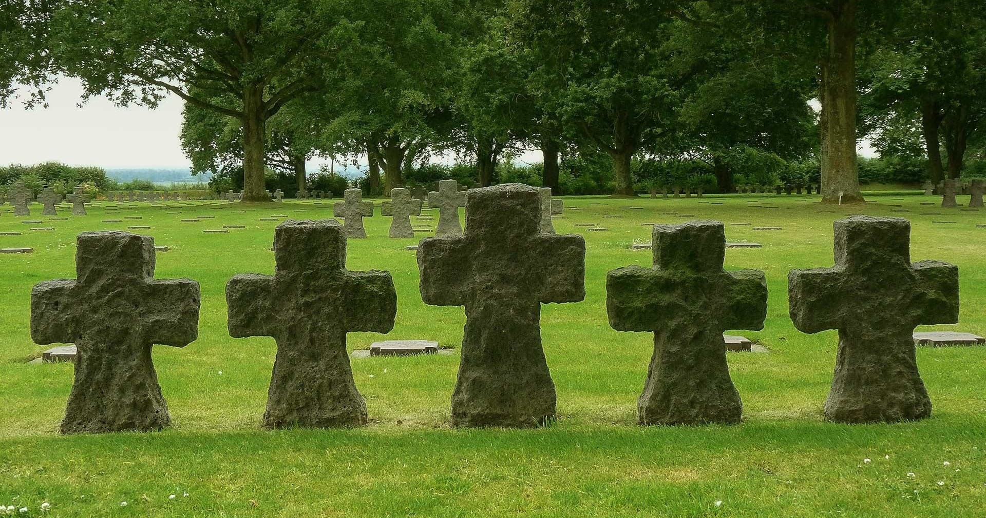 Normandy History Tour with Paris in Person