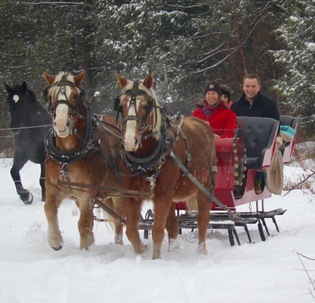Experience Memorable Group Horseback Adventures at Cornerstone Ranch in Princeton, Massachusetts