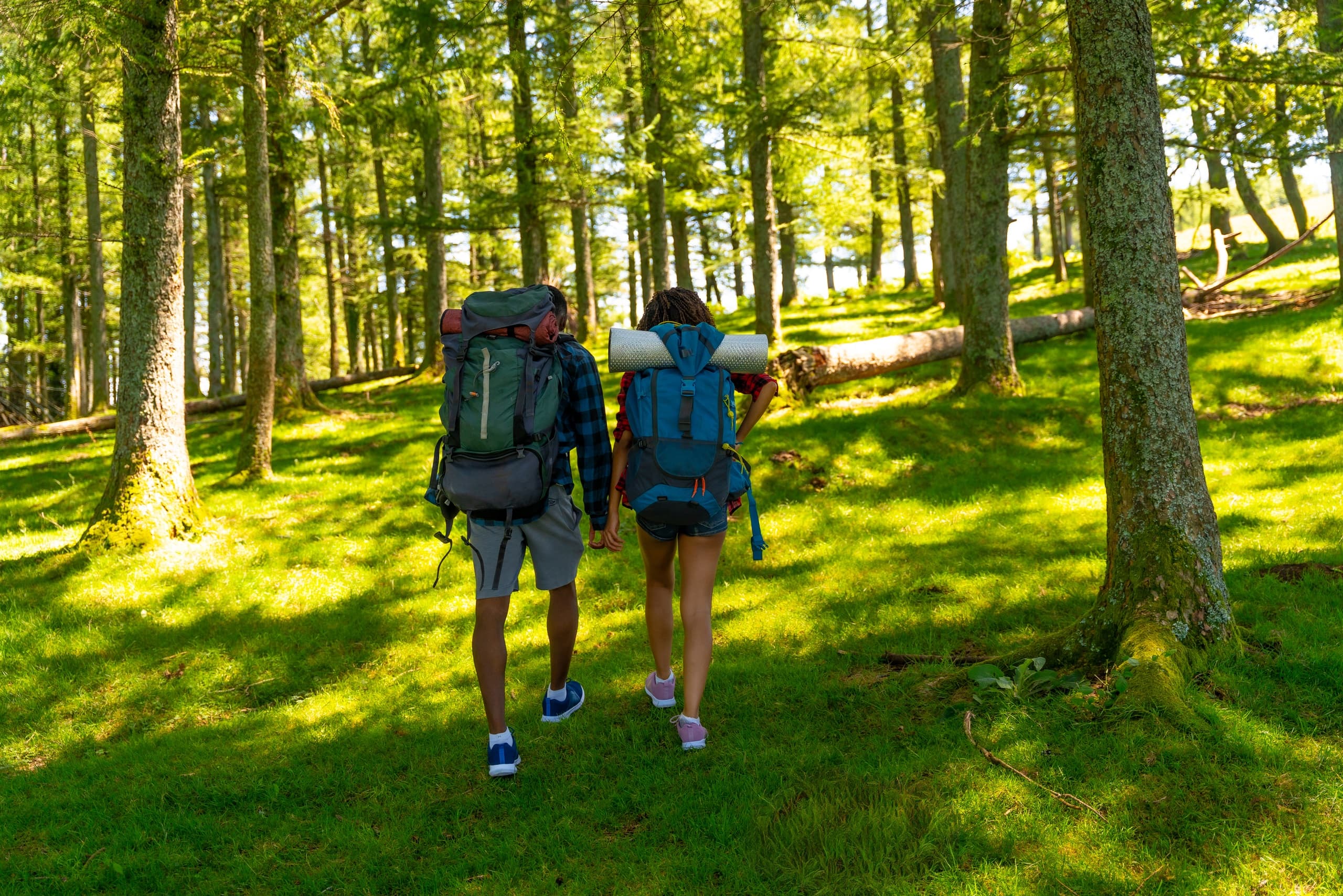 Evening Plant ID & Backpack Conditioning: Wednesday Wonder Walk at Discovery Park (Sept 16, 2026)