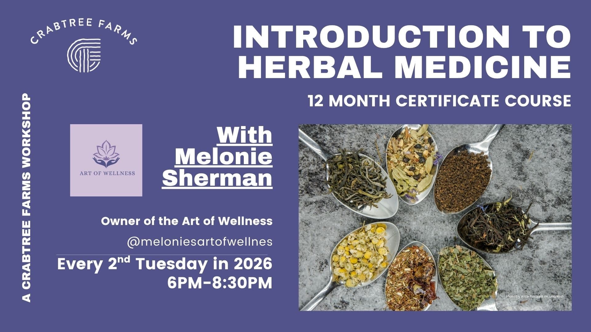 Year-Long Herbal Medicine Course at Crabtree Farms in Chattanooga
