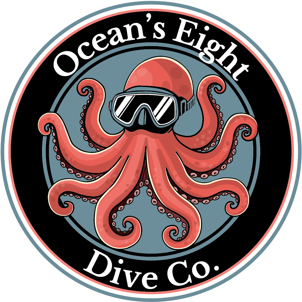 Drift the Boynton Reefs: 2-Tank Dive Trip to Corals, Wrecks & Turtles