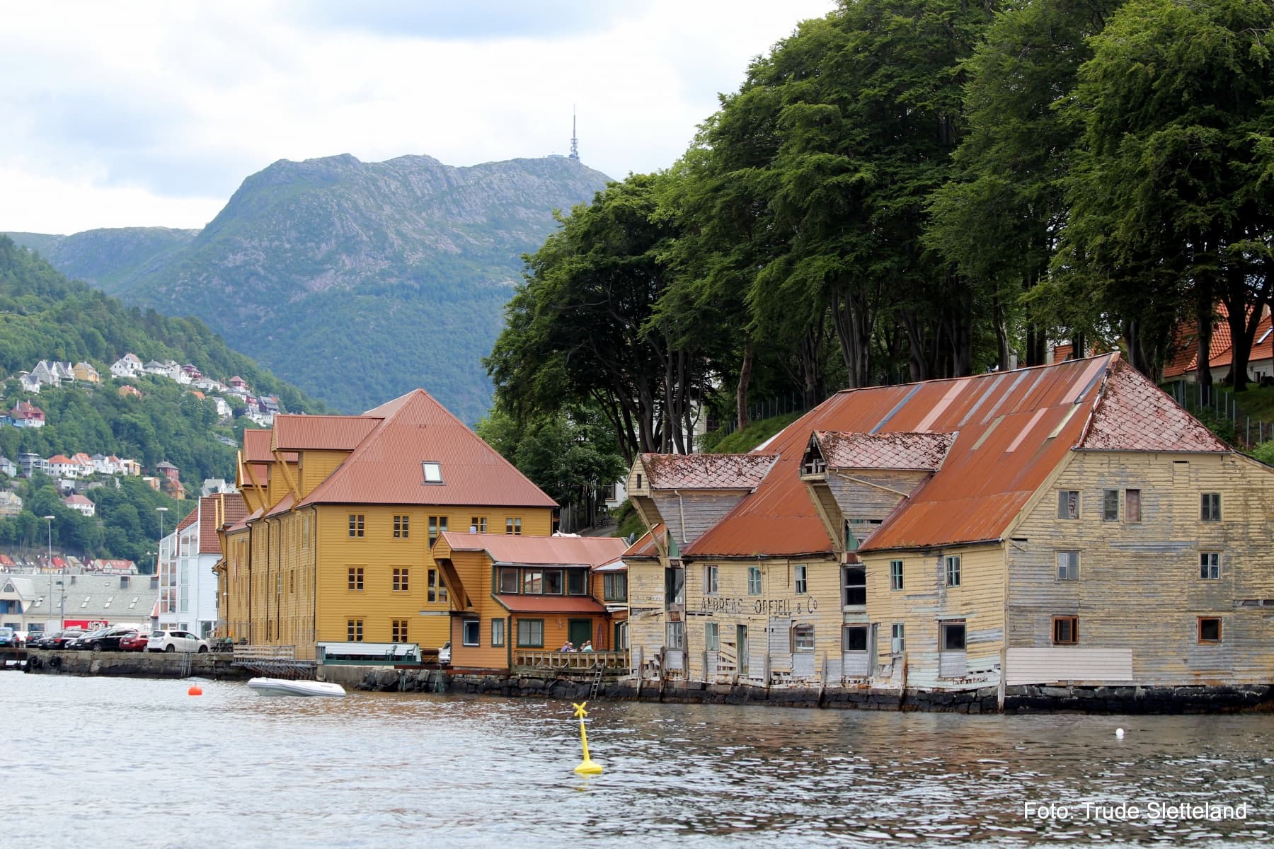 Water Activities & Scenic Sailing with Scandinavian Yachters in Bergen