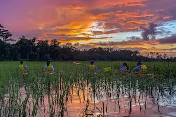 PB Private Kayak Tours & Instruction in Bluffton, SC