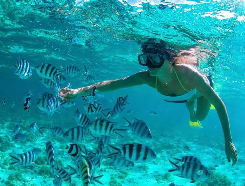 Local-Led Sunset Cruise Along Islamorada Reefs photo 1